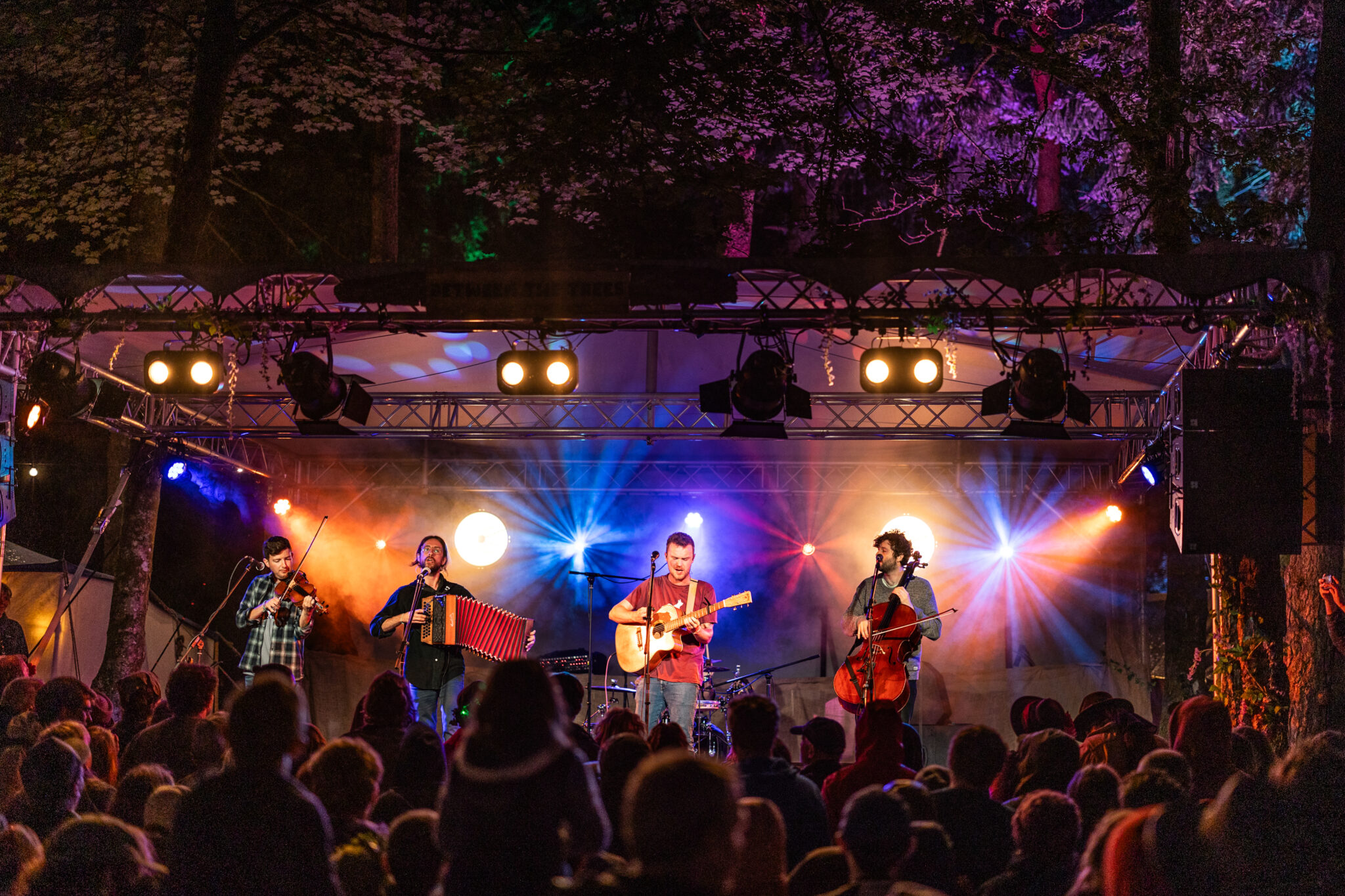 Between the Trees festival photo